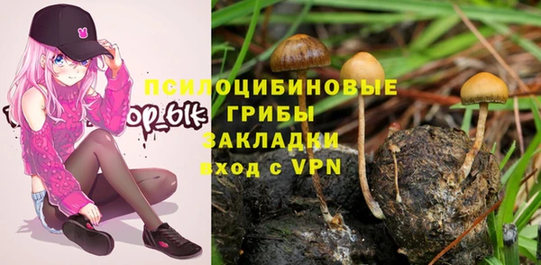 дживик Абинск