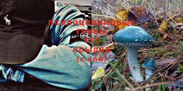 дживик Абинск